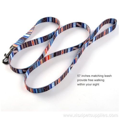 OEM Ajustable Fashion Dog Collars and Leashes Set